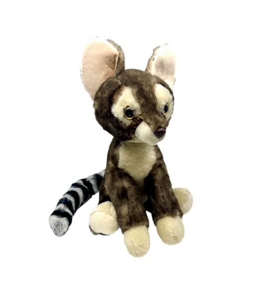 Plush - Ringtail Cat