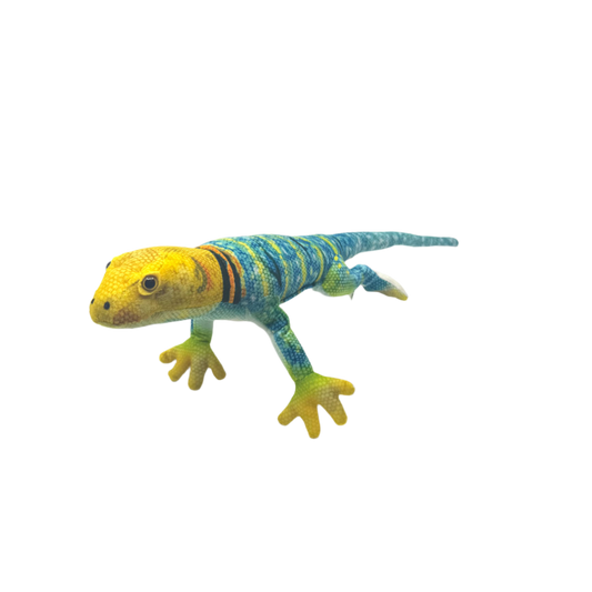 Plush - Collared Lizard