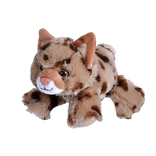 Plush - Bobcat -