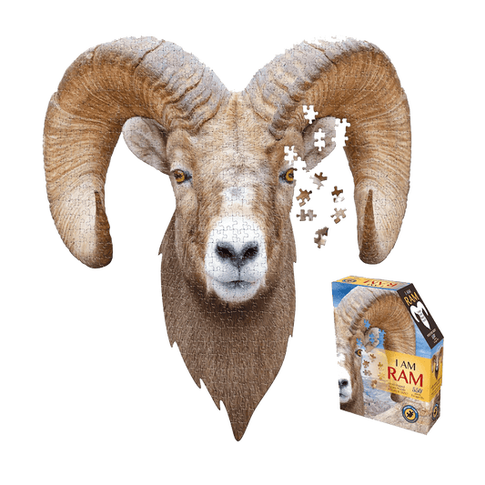 Puzzle - I am Ram