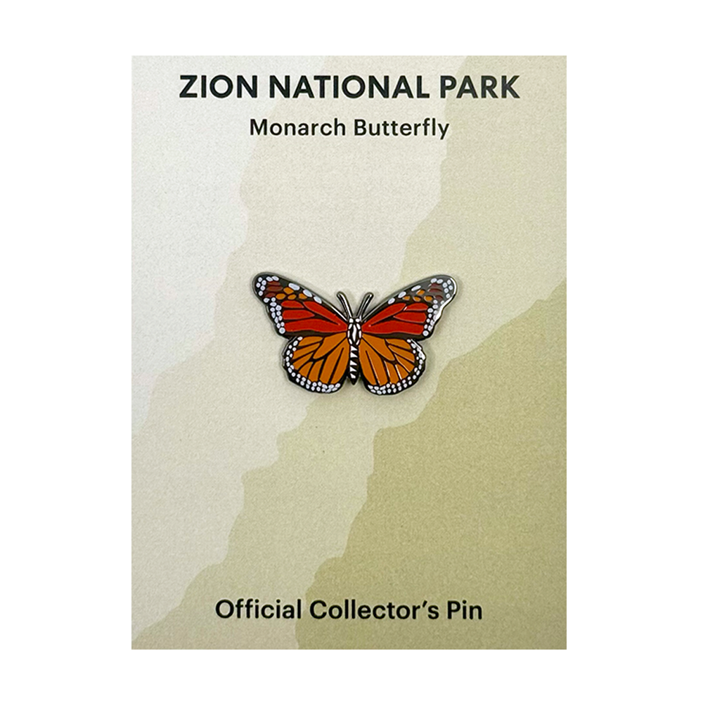 Pin - Animal - Monarch Butterfly