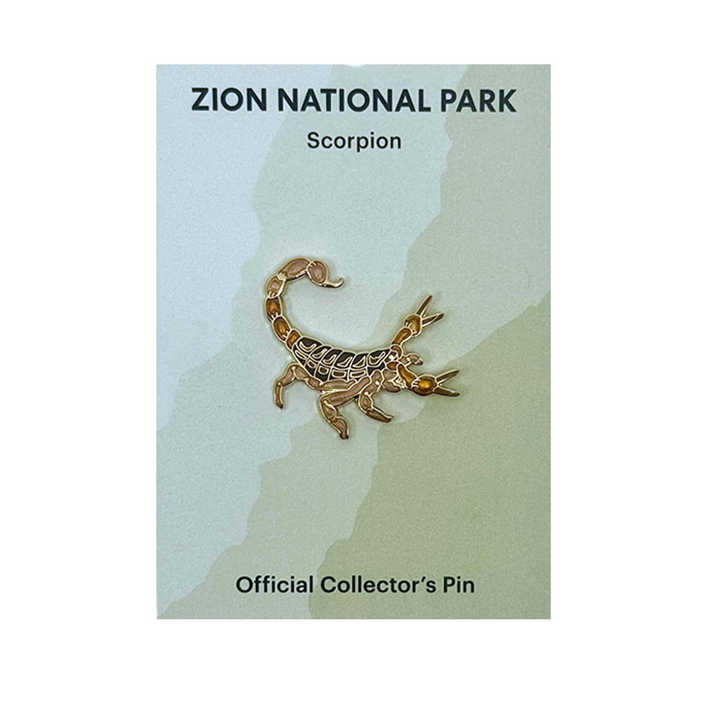 Pin - Animal - Scorpion